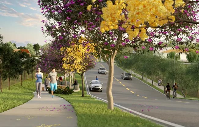 Ciclovia arborizada